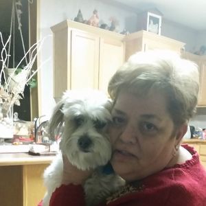 Meet your Posher, Susan